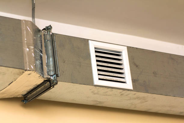 Best Air Duct Sanitizing Services  in Bellwood, VA